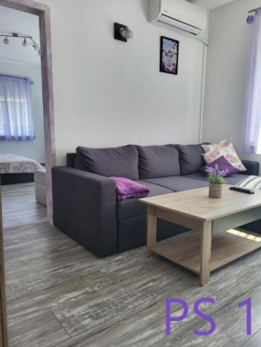 Purple StudioS